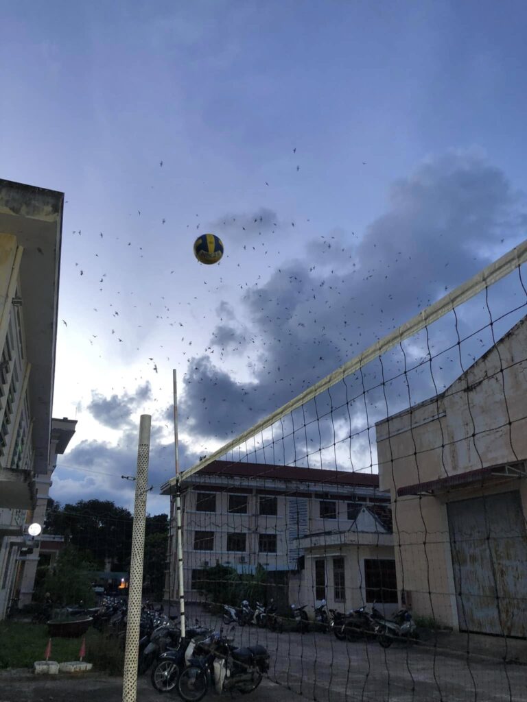 Chiều hè 2025